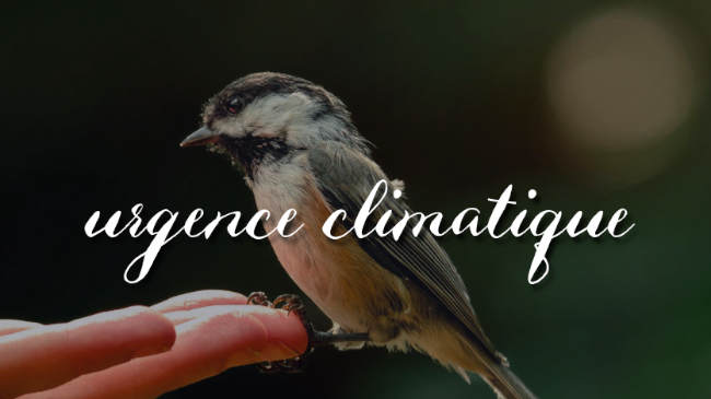 urgence climatique
