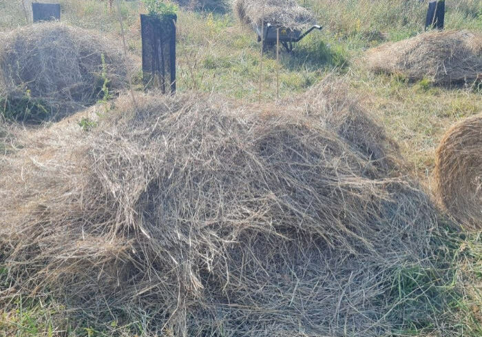 protection-coplantation.jpg